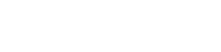 Newon